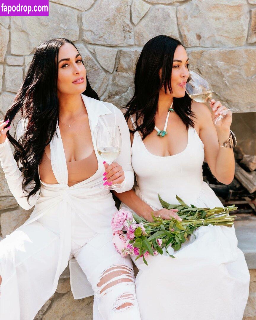 The Bella Twins / Nikki Bella & Brie Bella / thenikkibella слитое обнаженное фото #0146 с Онлифанс или Патреон