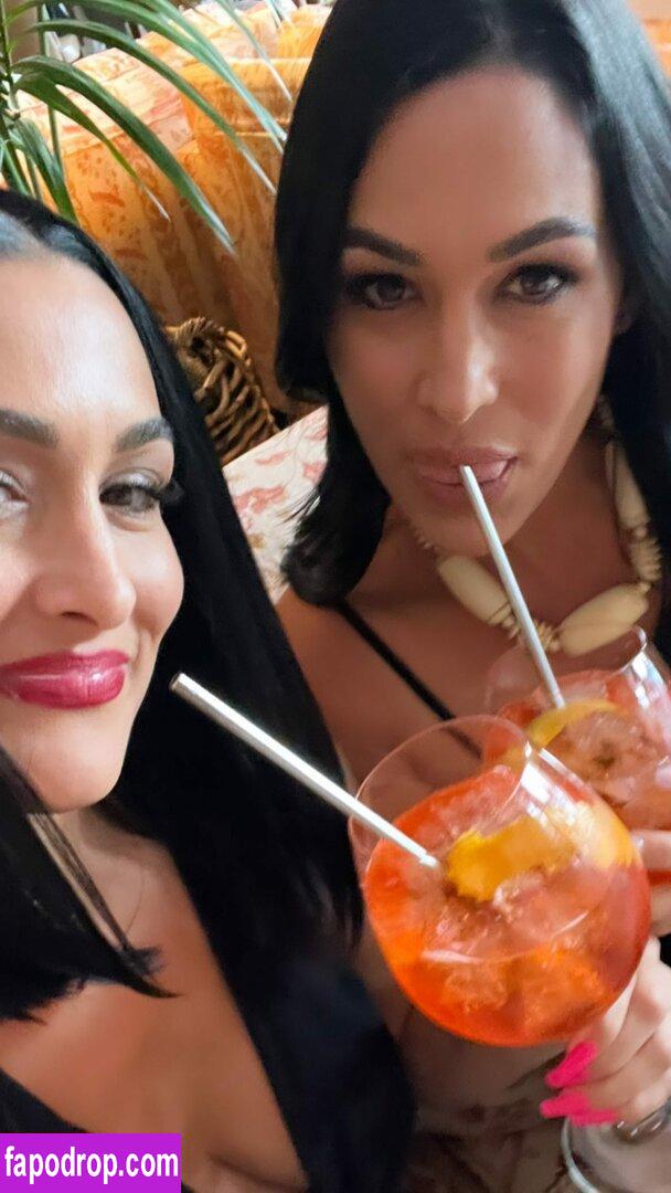 The Bella Twins / Nikki Bella & Brie Bella / thenikkibella слитое обнаженное фото #0149 с Онлифанс или Патреон