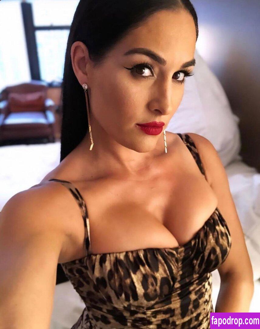 The Bella Twins / Nikki Bella & Brie Bella / thenikkibella leak of nude photo #0173 from OnlyFans or Patreon