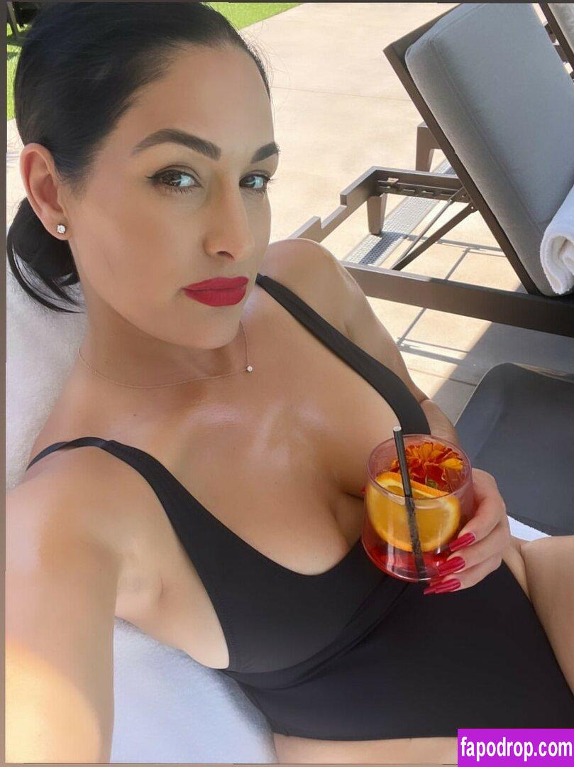 The Bella Twins / Nikki Bella & Brie Bella / thenikkibella leak of nude photo #0188 from OnlyFans or Patreon