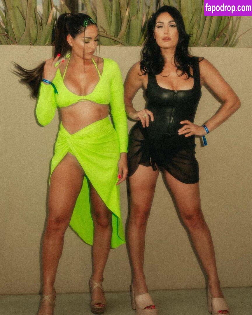 The Bella Twins / Nikki Bella & Brie Bella / thenikkibella leak of nude photo #0225 from OnlyFans or Patreon