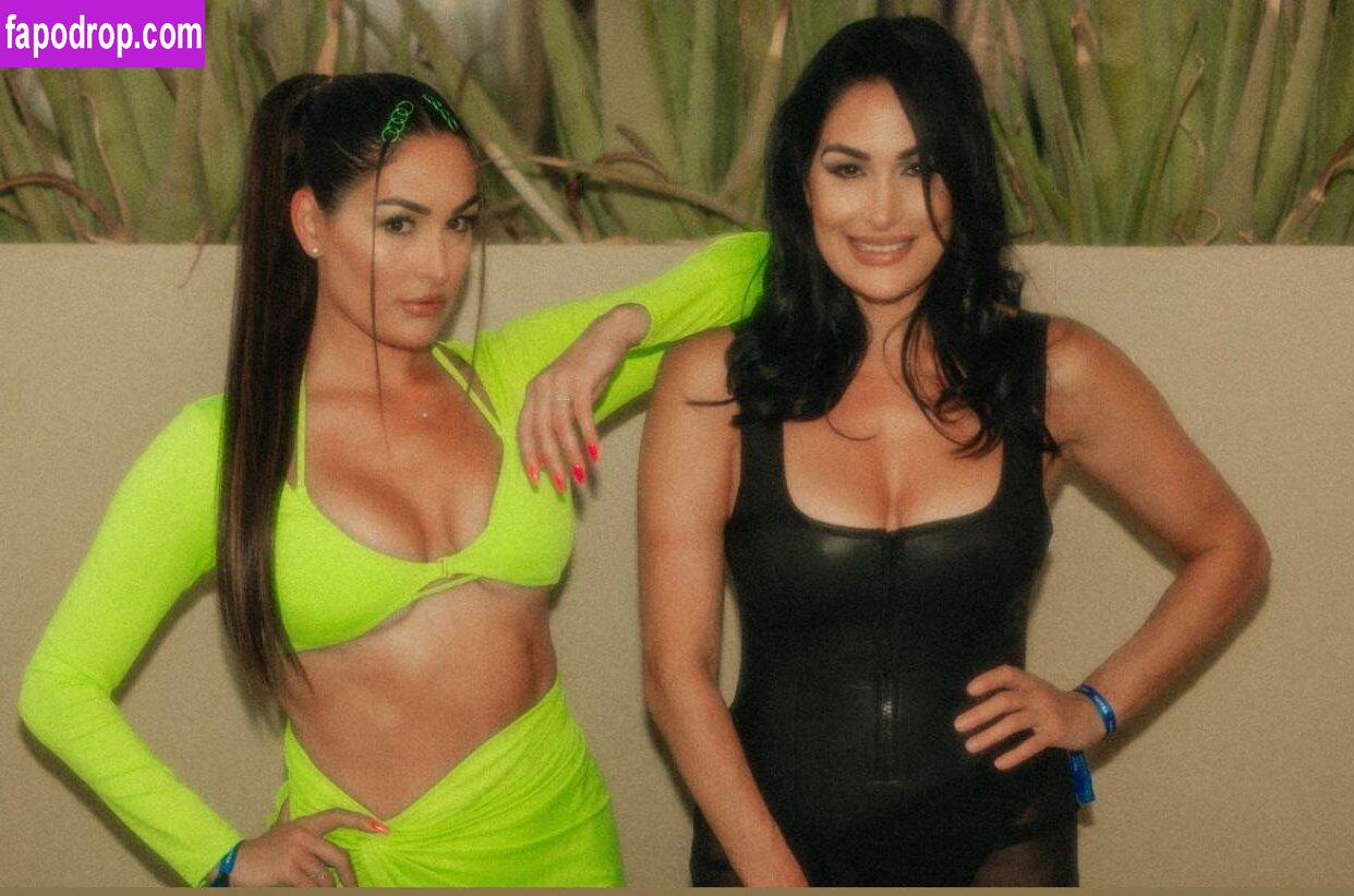 The Bella Twins / Nikki Bella & Brie Bella / thenikkibella слитое обнаженное фото #0228 с Онлифанс или Патреон