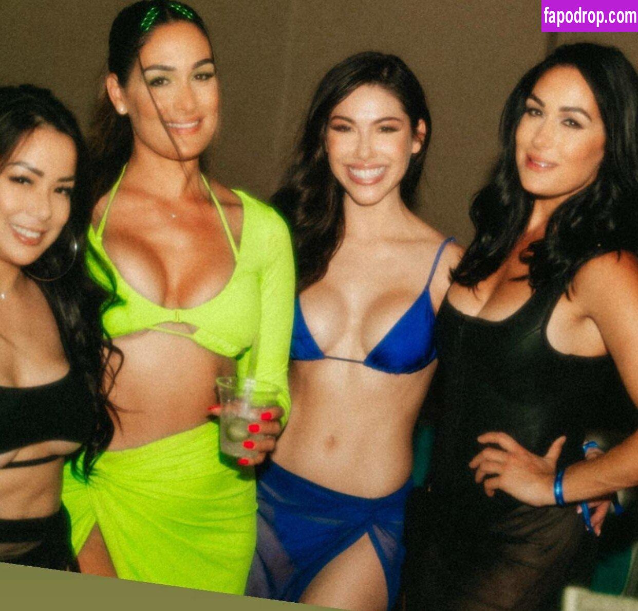 The Bella Twins / Nikki Bella & Brie Bella / thenikkibella leak of nude photo #0234 from OnlyFans or Patreon