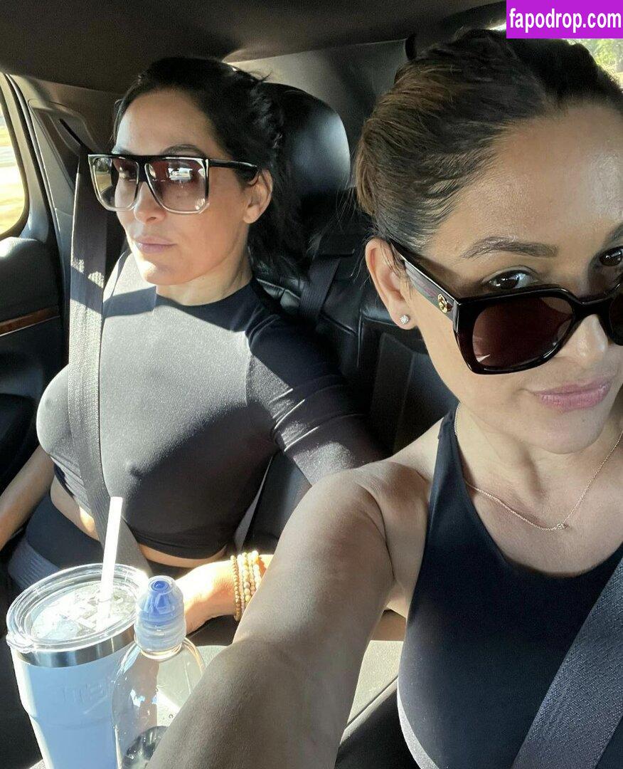 The Bella Twins / Nikki Bella & Brie Bella / thenikkibella leak of nude photo #0257 from OnlyFans or Patreon