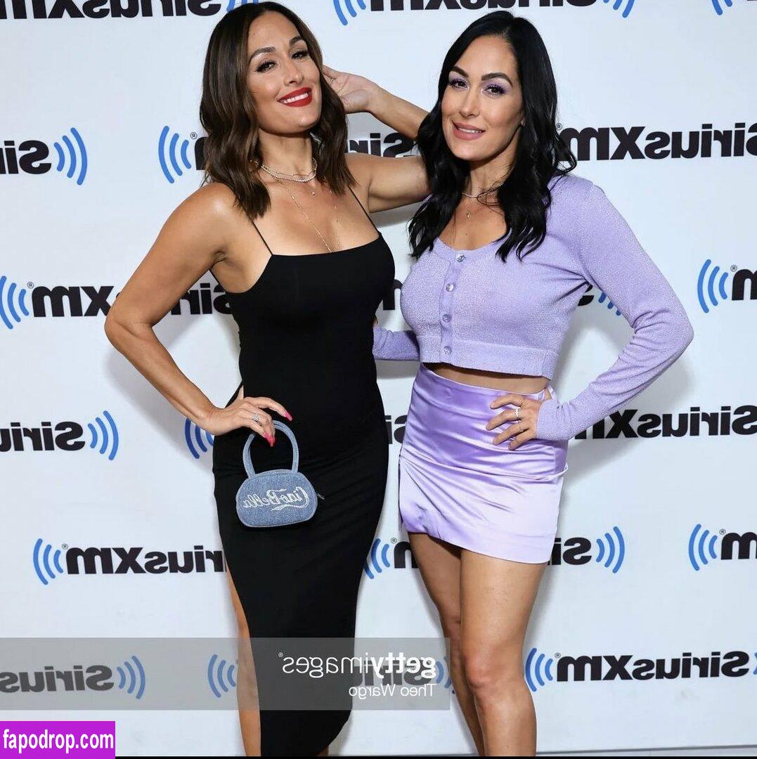 The Bella Twins / Nikki Bella & Brie Bella / thenikkibella leak of nude photo #0266 from OnlyFans or Patreon