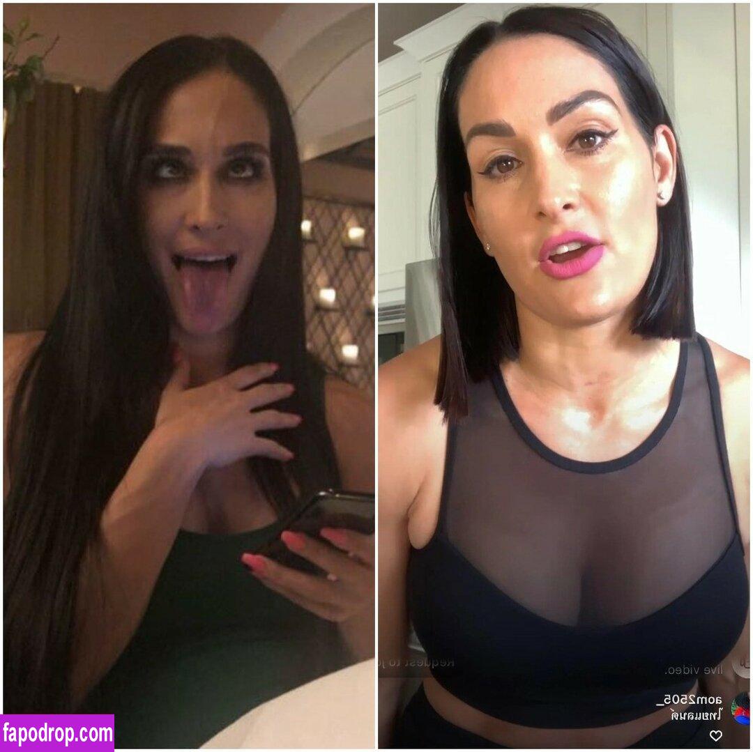 The Bella Twins / Nikki Bella & Brie Bella / thenikkibella слитое обнаженное фото #0286 с Онлифанс или Патреон