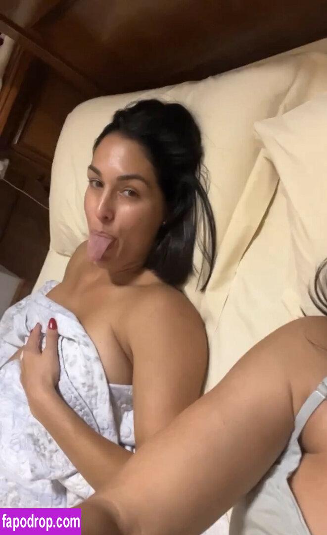 The Bella Twins / Nikki Bella & Brie Bella / thenikkibella leak of nude photo #0328 from OnlyFans or Patreon