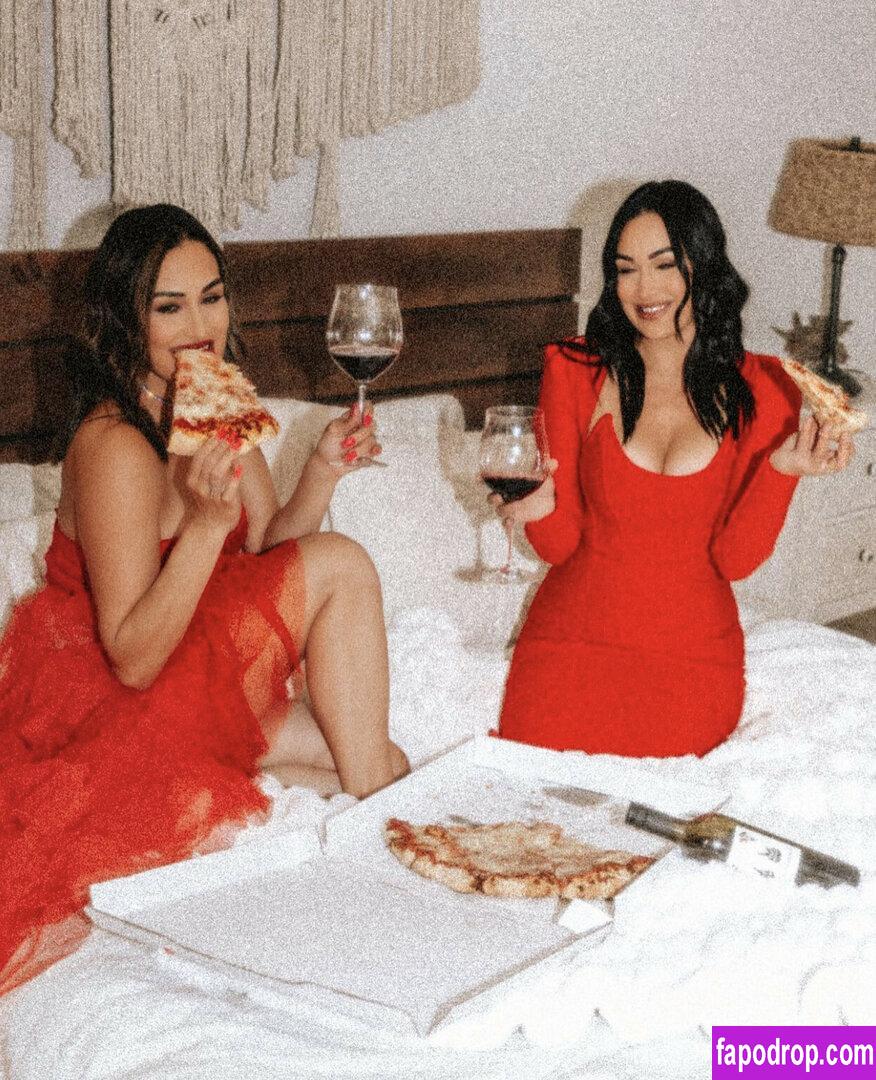 The Bella Twins / Nikki Bella & Brie Bella / thenikkibella слитое обнаженное фото #0392 с Онлифанс или Патреон