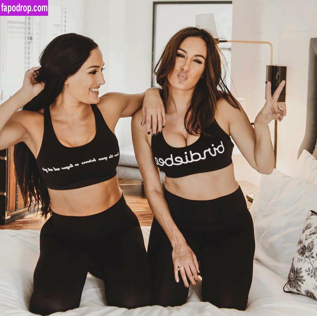 The Bella Twins / Nikki Bella & Brie Bella / thenikkibella leak of nude photo #0403 from OnlyFans or Patreon