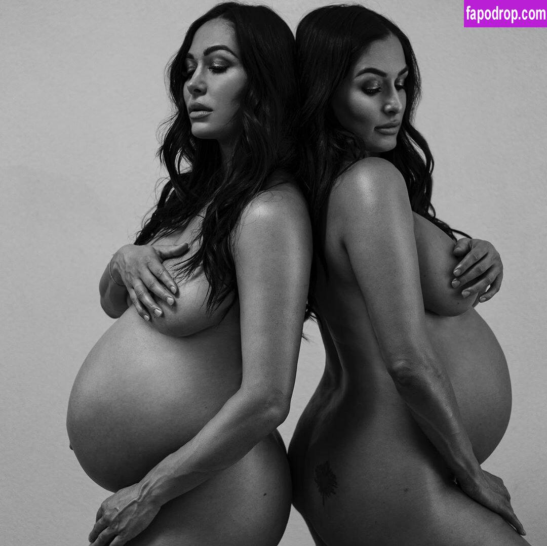 The Bella Twins / Nikki Bella & Brie Bella / thenikkibella leak of nude photo #0413 from OnlyFans or Patreon