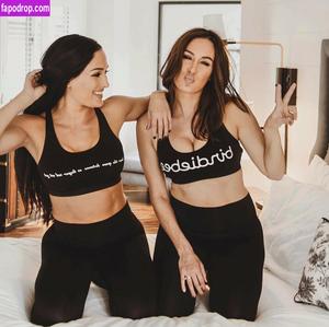 The Bella Twins фото #0403