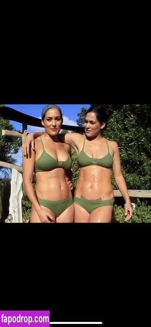 The Bella Twins фото #0447