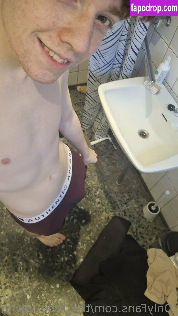 the_little_viking /  leak of nude photo #0006 from OnlyFans or Patreon