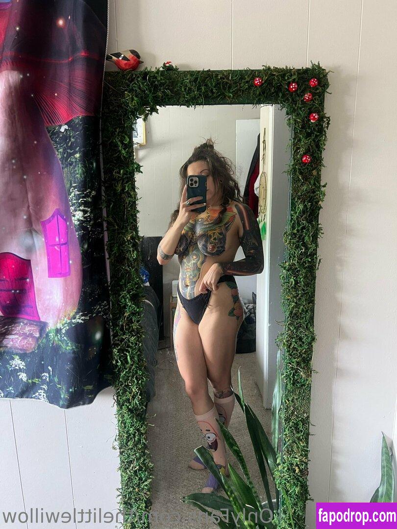 thelittlewillow / thelittlewillow_ leak of nude photo #0114 from OnlyFans or Patreon