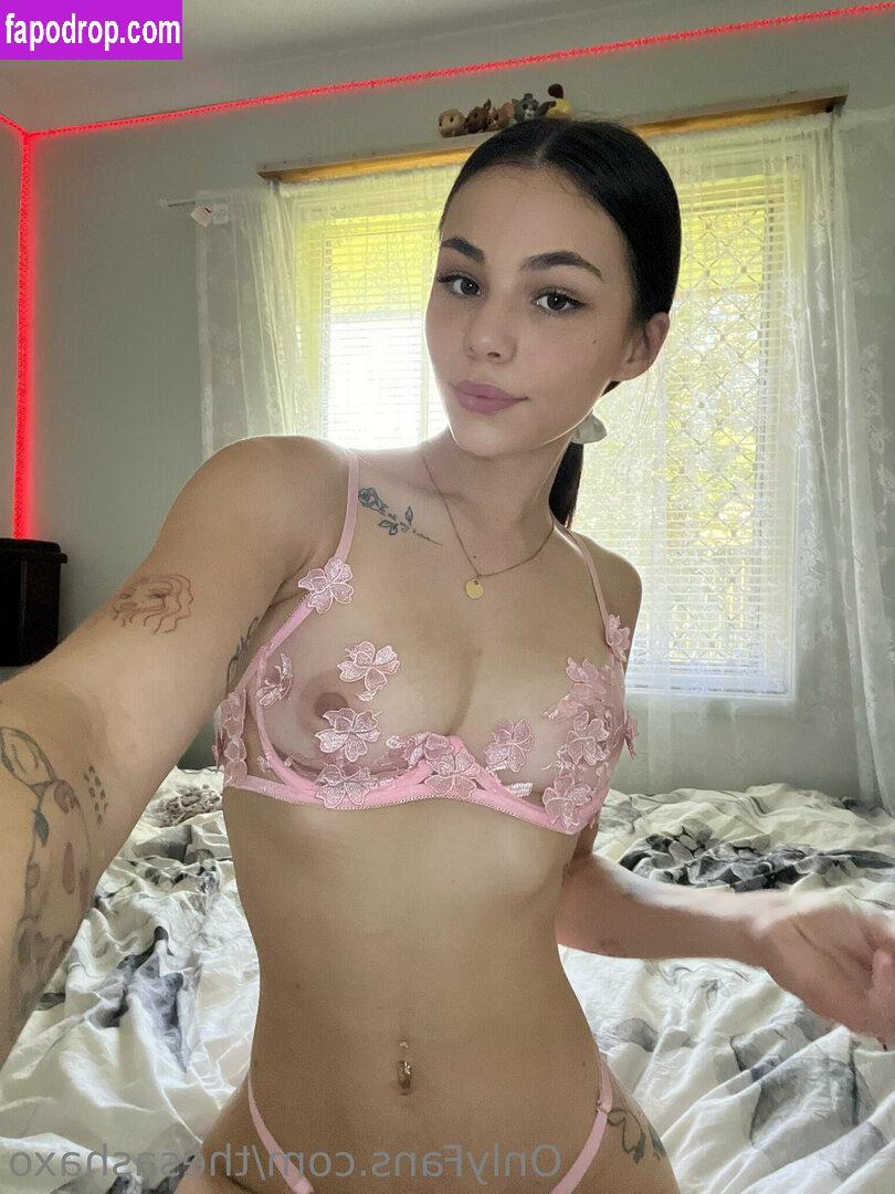 thesashaxo / Shayleebby / sashaxo_ leak of nude photo #0202 from OnlyFans or Patreon