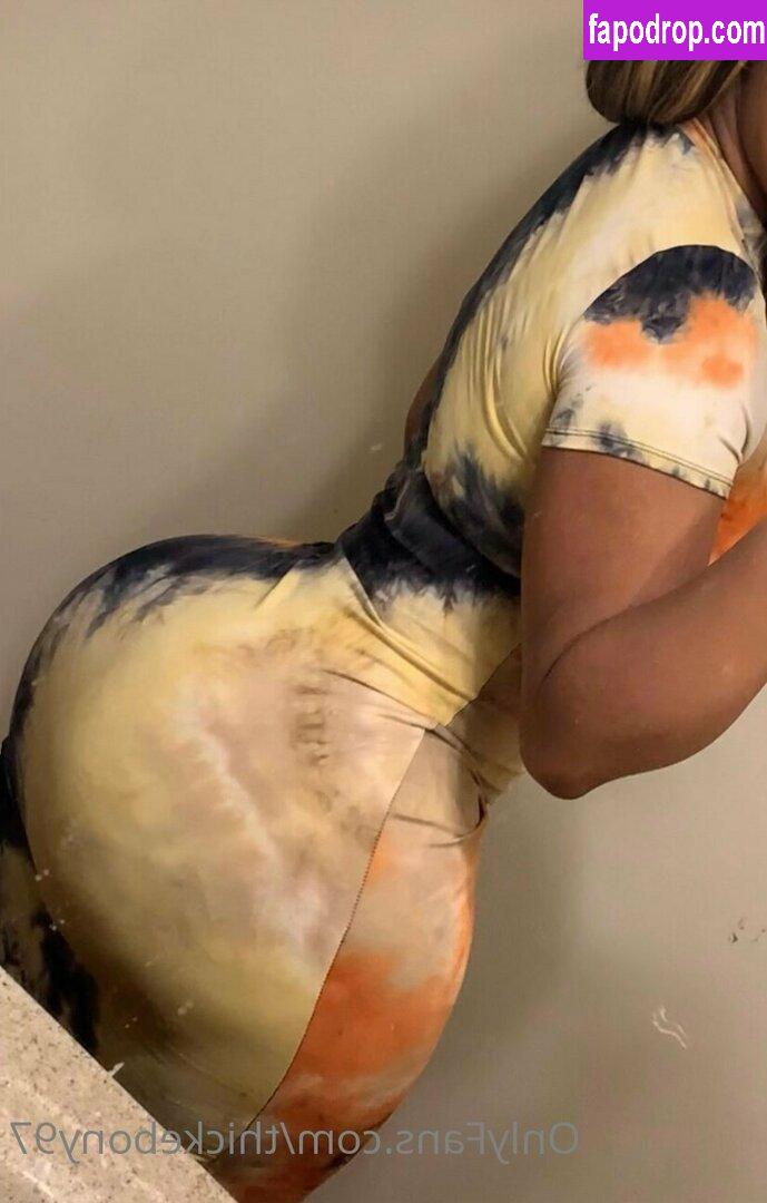 thickebony97 / skynoire leak of nude photo #0004 from OnlyFans or Patreon