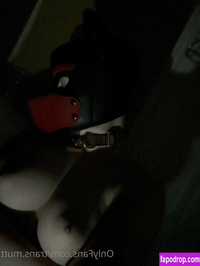 trans.mutt / shark.mutt leak of nude photo #0008 from OnlyFans or Patreon