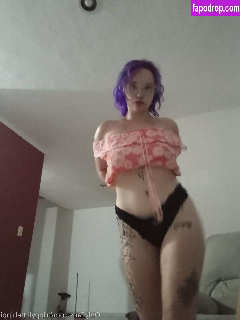 trippylittlehippi / trippylittlehippy leak of nude photo #0030 from OnlyFans or Patreon