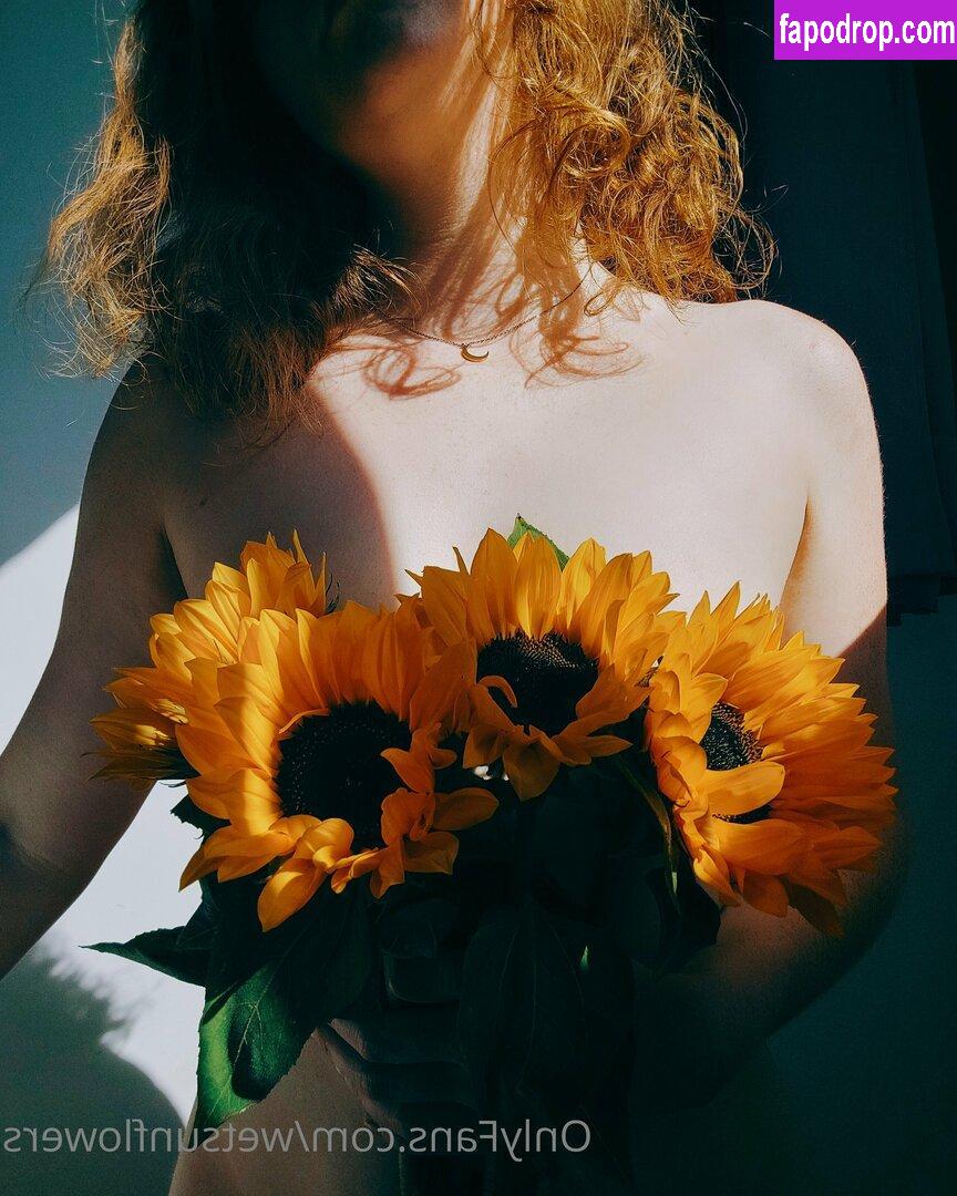 wetsunflowers /  leak of nude photo #0001 from OnlyFans or Patreon