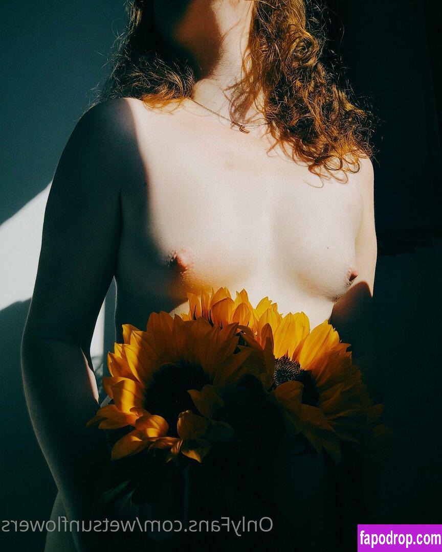 wetsunflowers /  leak of nude photo #0002 from OnlyFans or Patreon