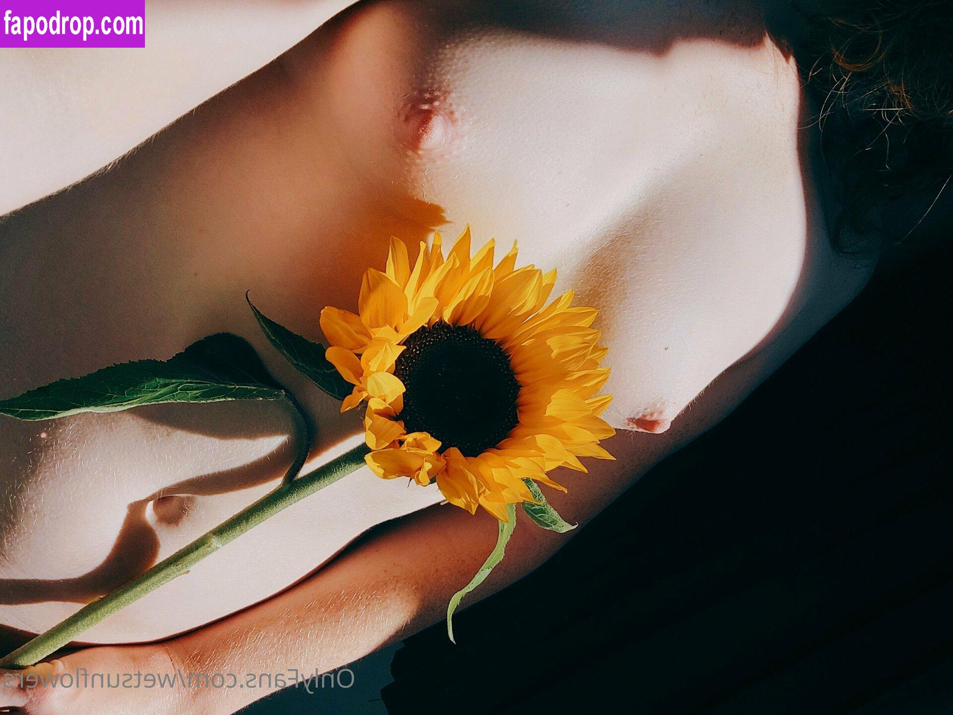 wetsunflowers /  leak of nude photo #0003 from OnlyFans or Patreon