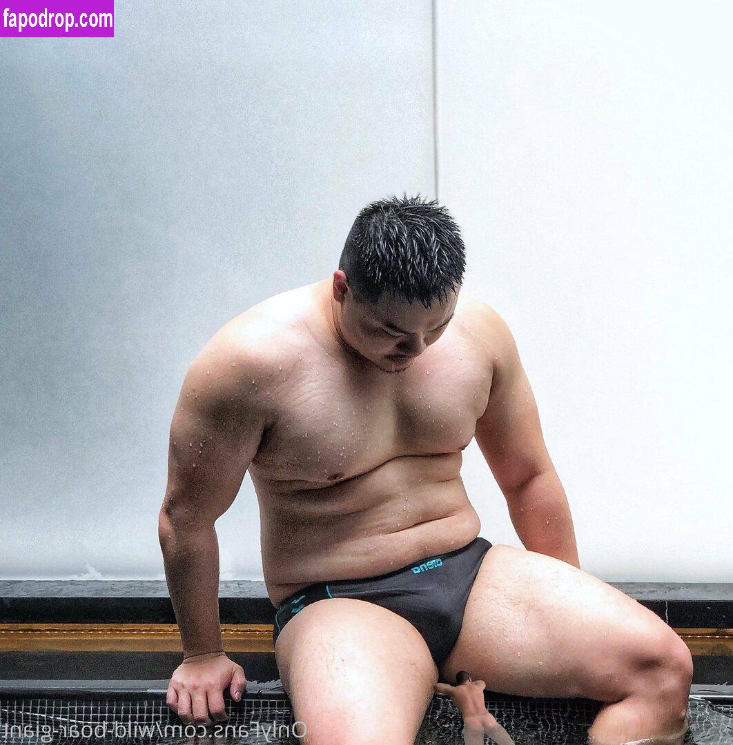 wild-boar-giant /  leak of nude photo #0074 from OnlyFans or Patreon