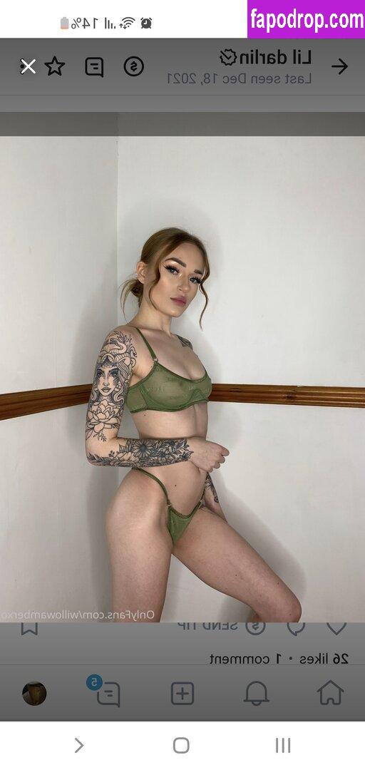 willowamberxo /  leak of nude photo #0004 from OnlyFans or Patreon