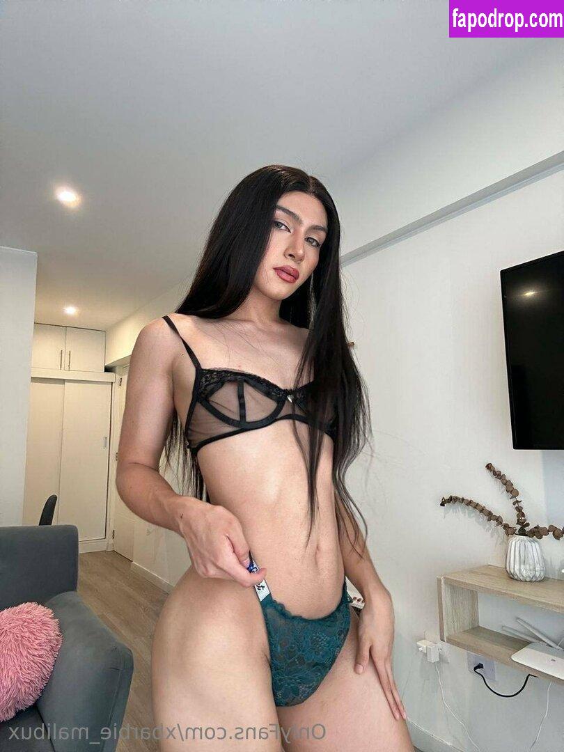 xbarbie_malibux /  leak of nude photo #0368 from OnlyFans or Patreon