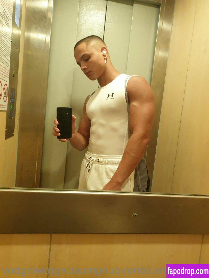 youngmusclegrowingboy /  leak of nude photo #0044 from OnlyFans or Patreon